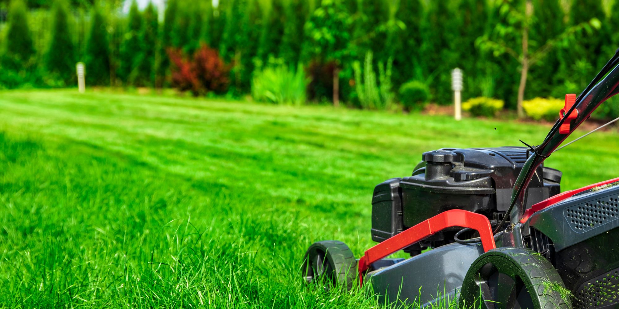 Max Yardcare (2)