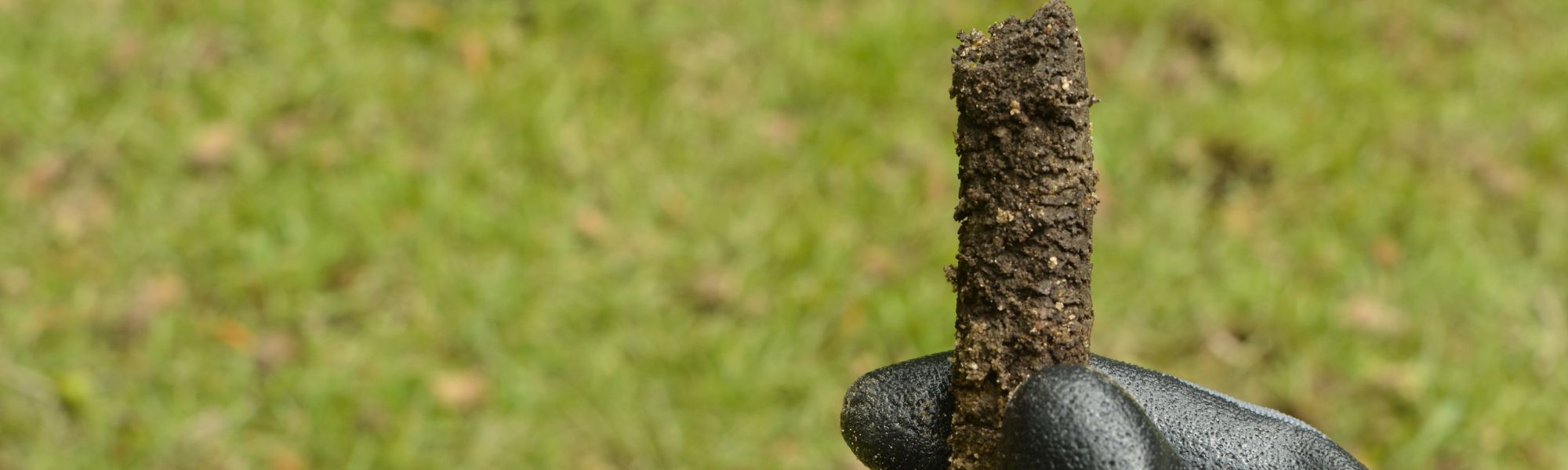 Piece of soil ( core ) from a Lawn Aeration service