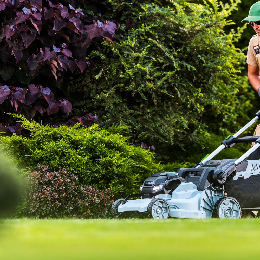 Lawn Mowing (6)