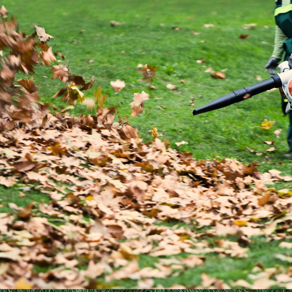 Leaves Blowing Lawn Fall Cleaning