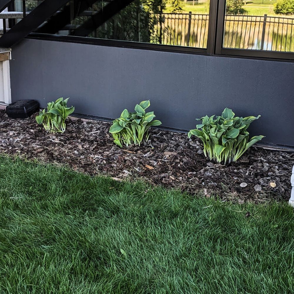 Mulching and Planting Edmonton