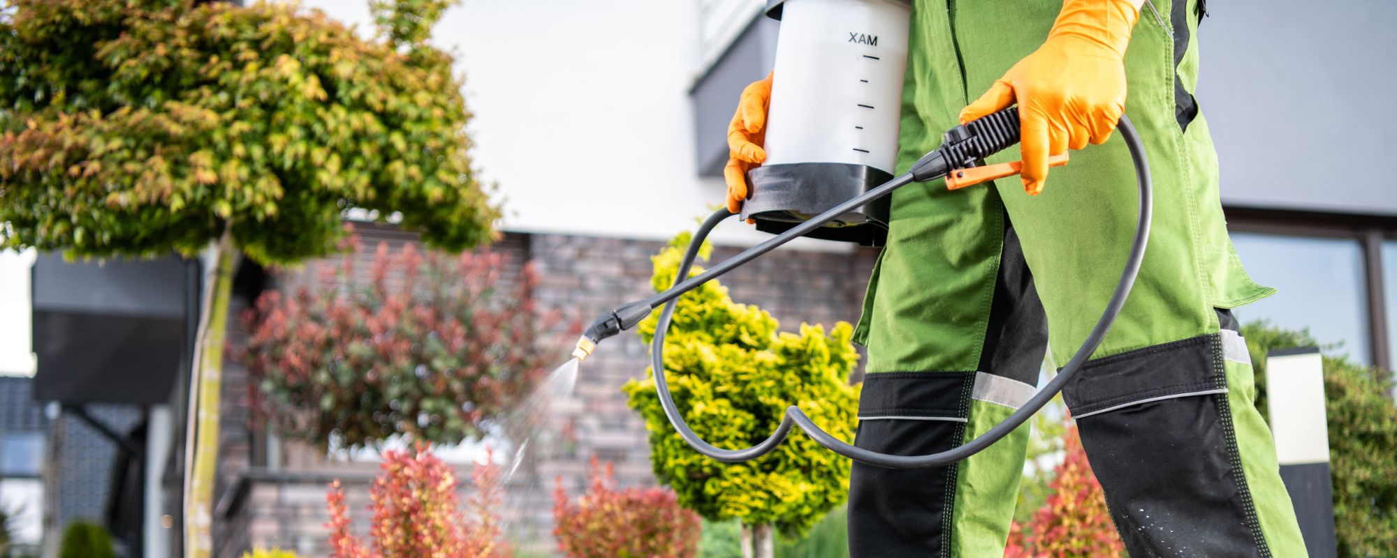 Weed Control Application (1)