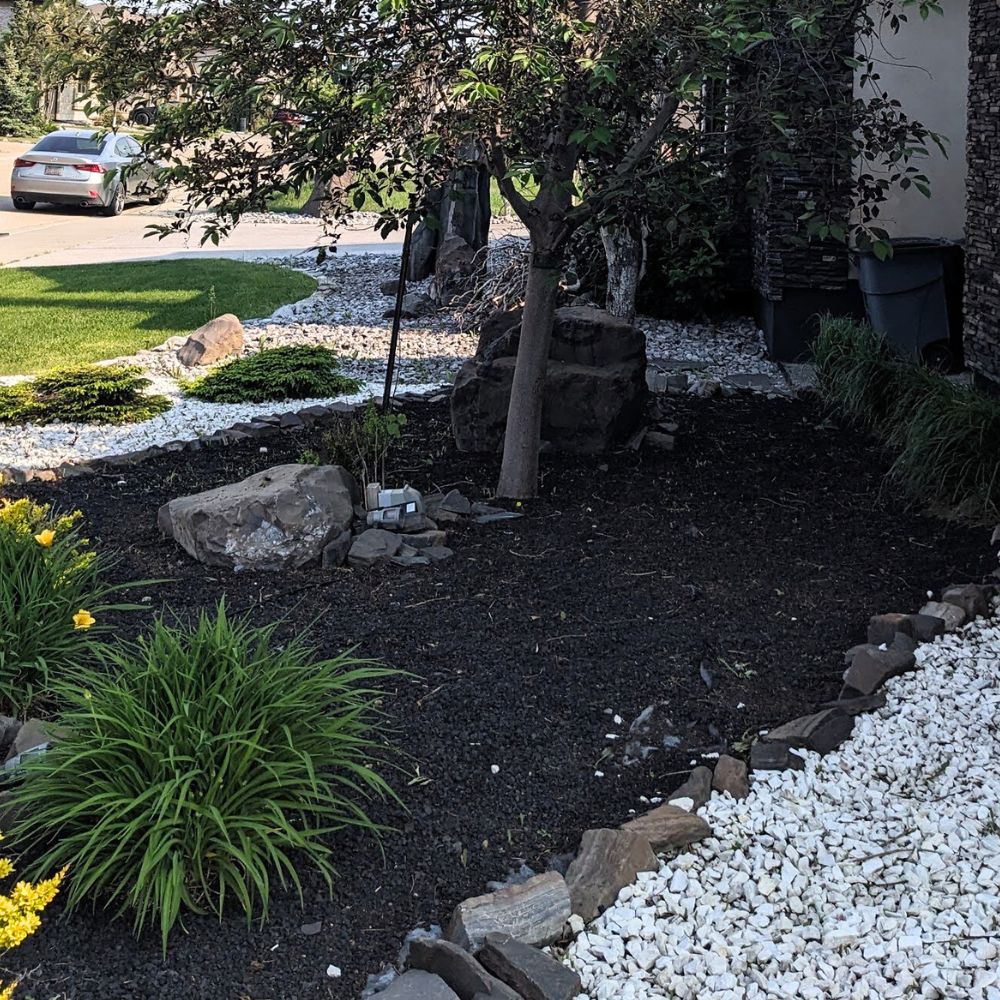 Yard Detailing Edmonton