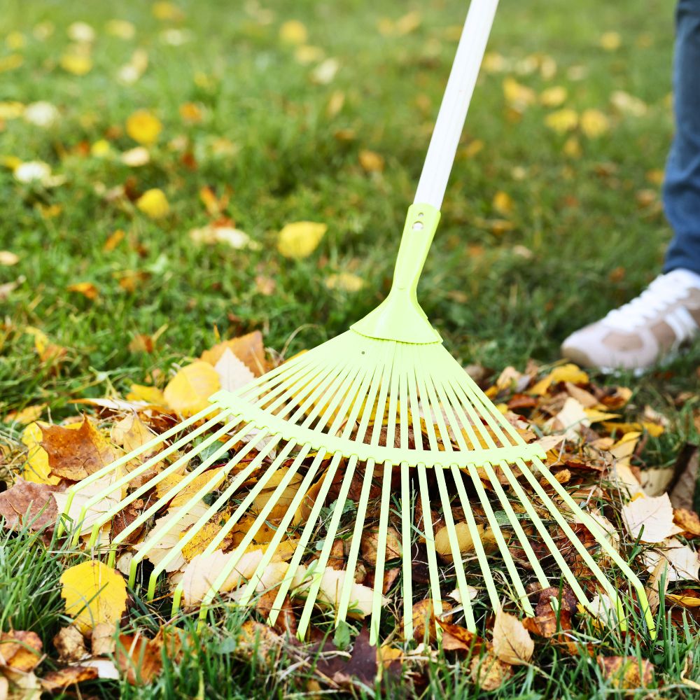 Yard Fall Cleaning (2)