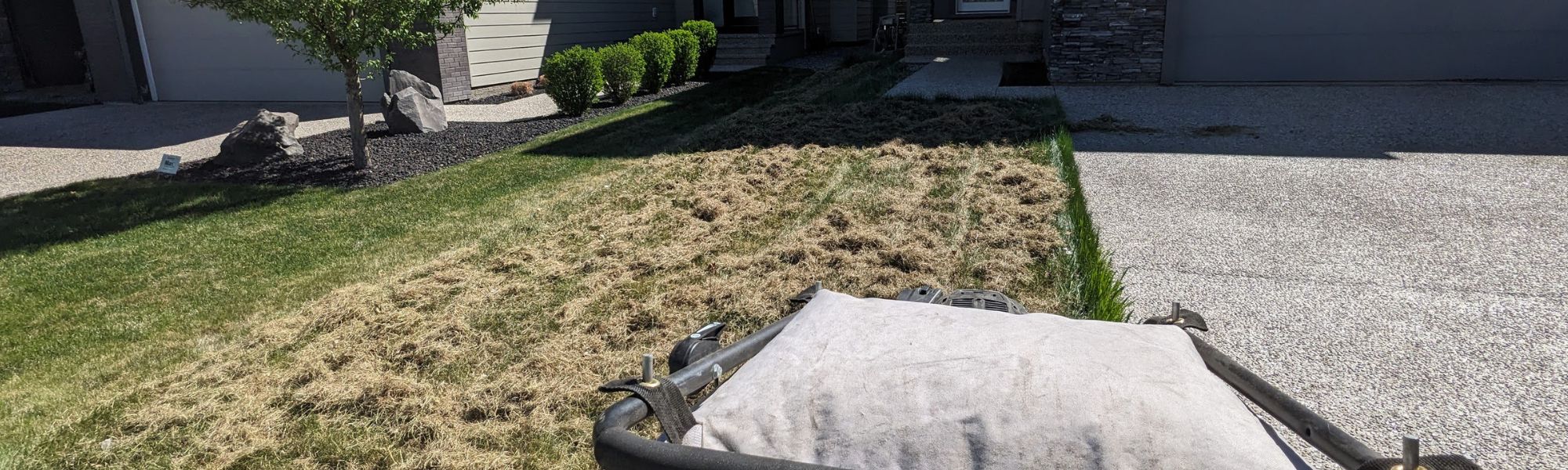 Lawn spring cleaning using a lawn vacuum after power raking.