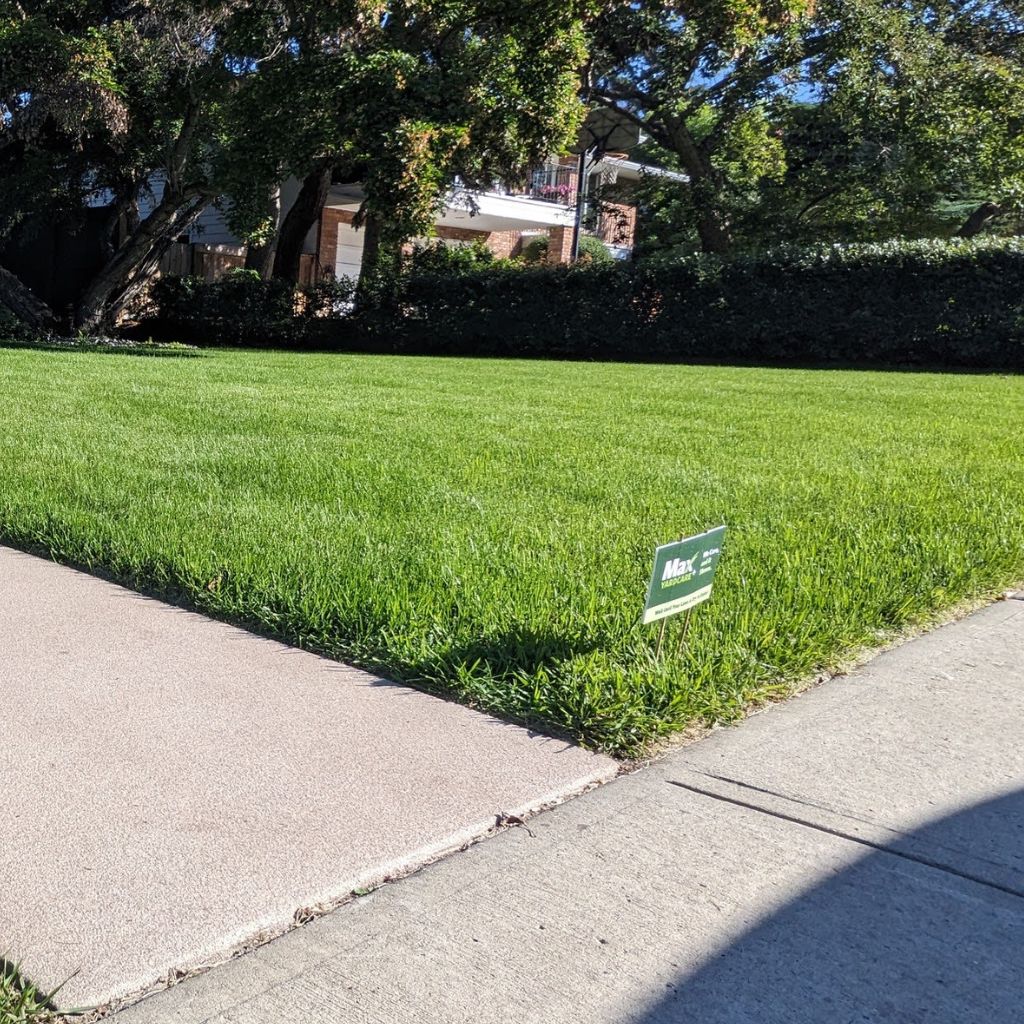 Freshly mowed lawn in Edmonton